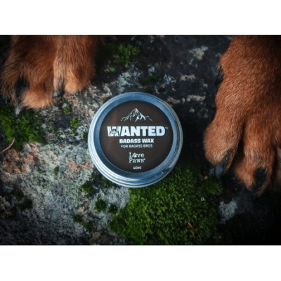 LovePaws WANTED Äijävaha